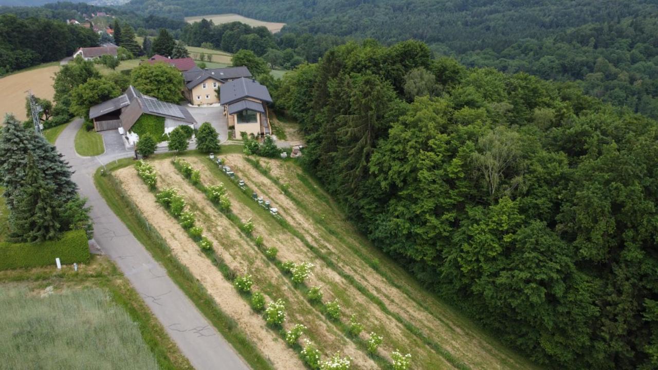 Apartament Beim Bergjosl Kirchbach in Steiermark Zewnętrze zdjęcie