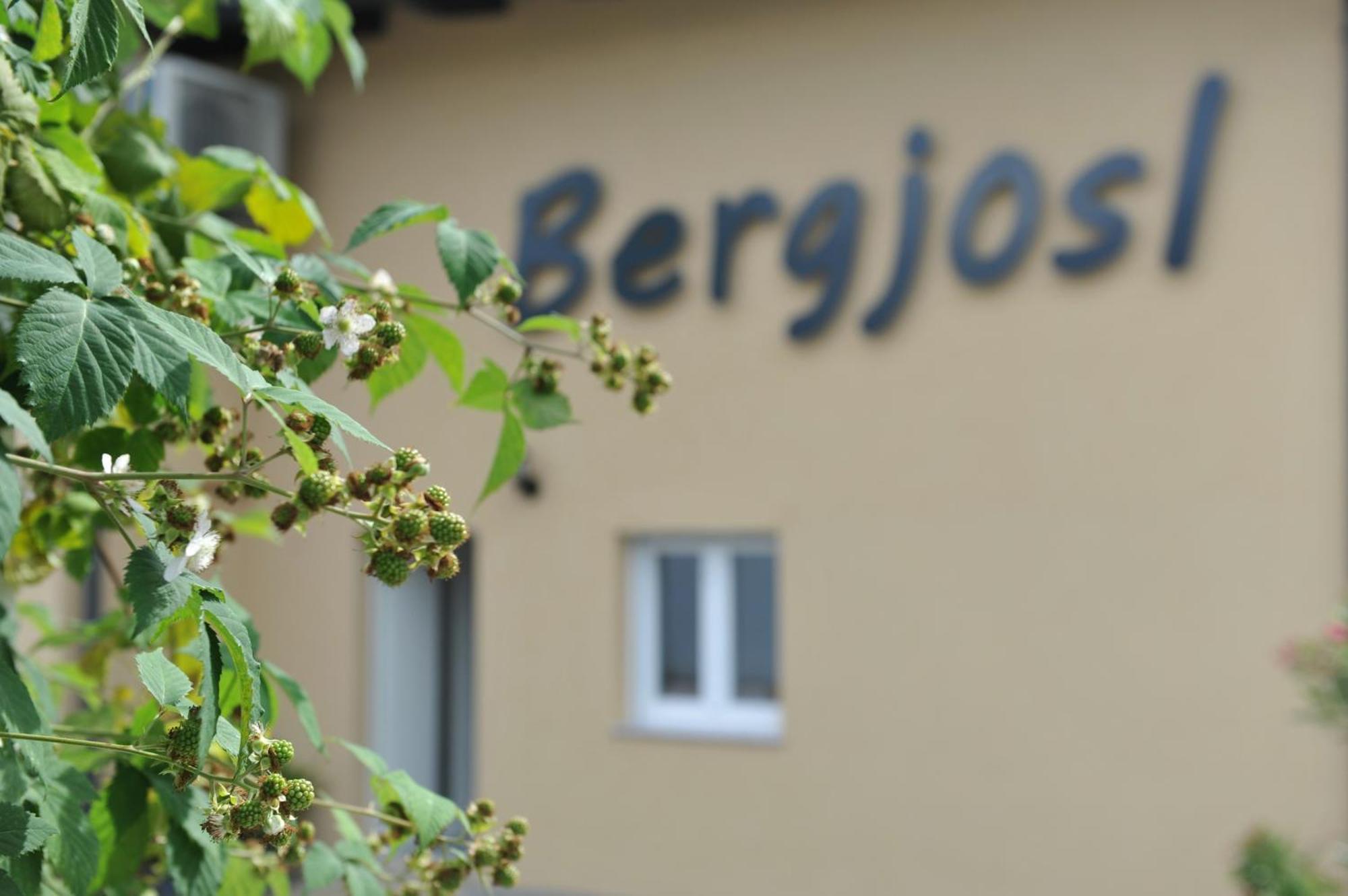 Apartament Beim Bergjosl Kirchbach in Steiermark Zewnętrze zdjęcie