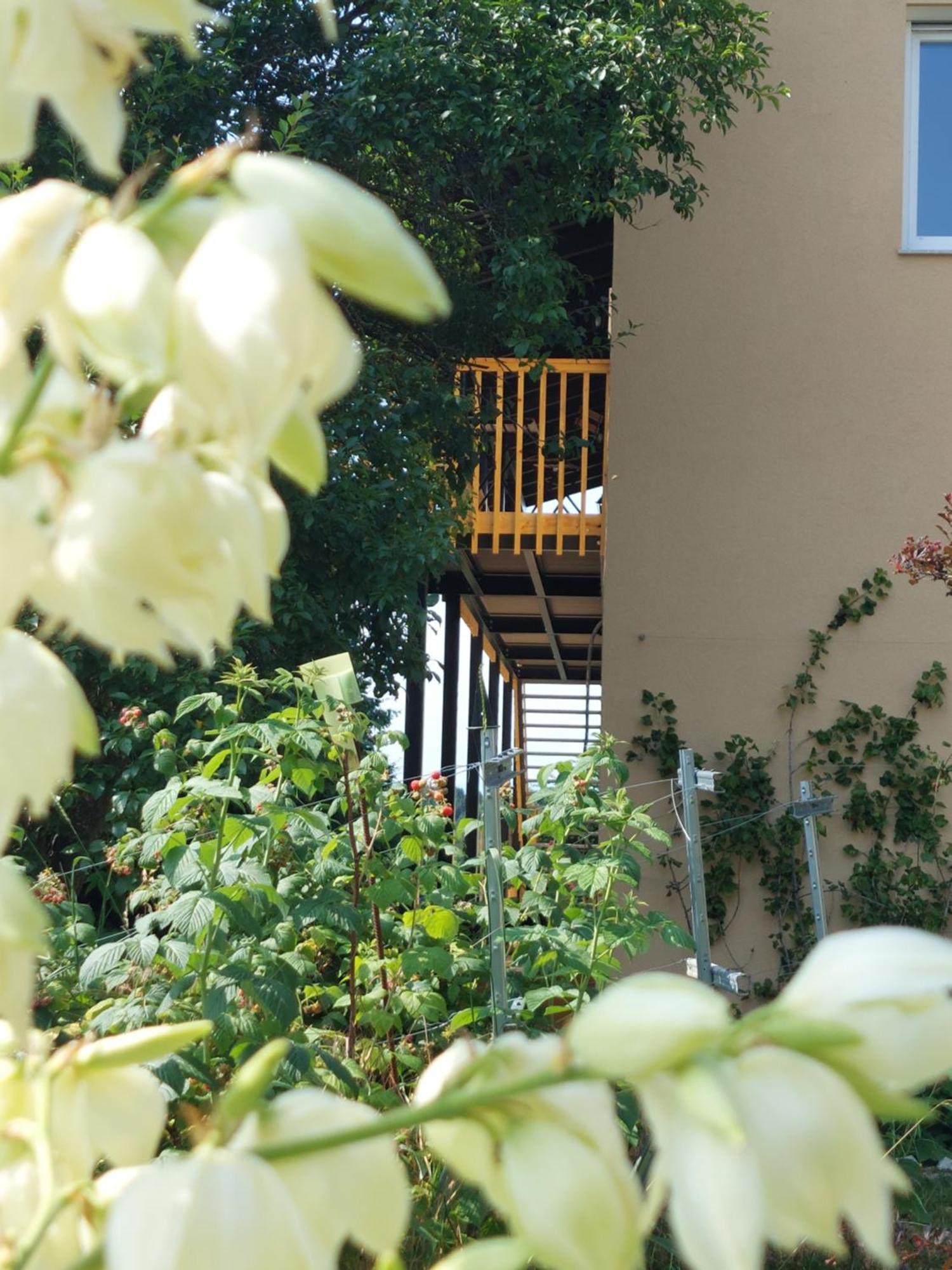 Apartament Beim Bergjosl Kirchbach in Steiermark Zewnętrze zdjęcie